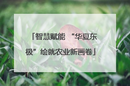 智慧赋能 “华夏东极”绘就农业新画卷