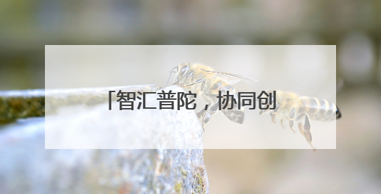 智汇普陀，协同创新！2025年普陀区科技节启动