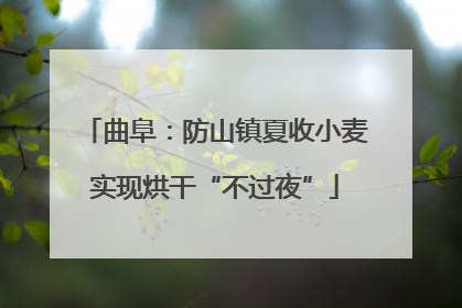 曲阜：防山镇夏收小麦实现烘干“不过夜”