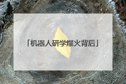 机器人研学爆火背后