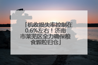 机收损失率控制在0.6%左右！济南市莱芜区全力确保粮食颗粒归仓