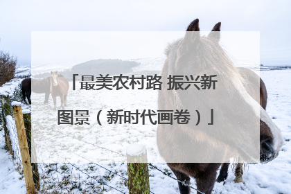 最美农村路 振兴新图景（新时代画卷）