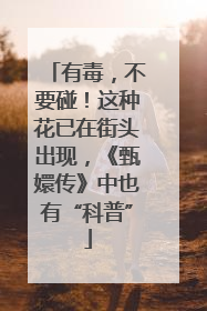 有毒，不要碰！这种花已在街头出现，《甄嬛传》中也有“科普”