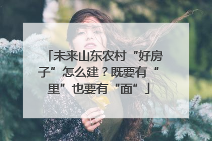 未来山东农村“好房子”怎么建？既要有“里”也要有“面”