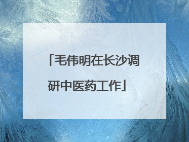 毛伟明在长沙调研中医药工作