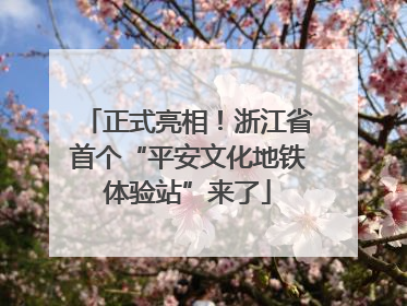 正式亮相！浙江省首个“平安文化地铁体验站”来了