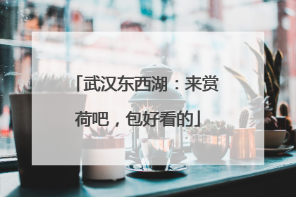 武汉东西湖：来赏荷吧，包好看的