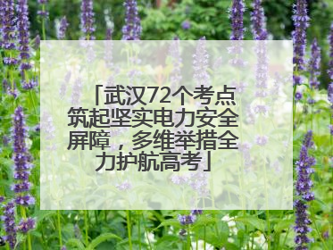 武汉72个考点筑起坚实电力安全屏障，多维举措全力护航高考