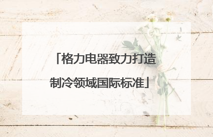 格力电器致力打造制冷领域国际标准