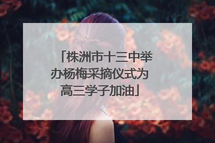 株洲市十三中举办杨梅采摘仪式为高三学子加油