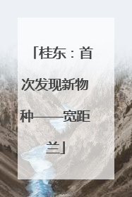 桂东：首次发现新物种——宽距兰