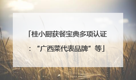 桂小厨获餐宝典多项认证：“广西菜代表品牌”等