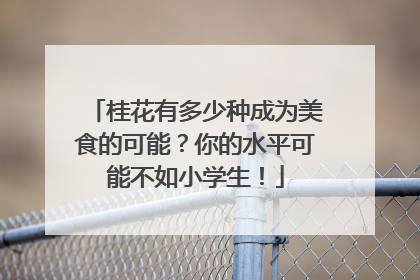 桂花有多少种成为美食的可能？你的水平可能不如小学生！
