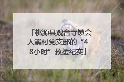 桃源县观音寺镇会人溪村党支部的“48小时”救援纪实