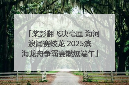桨影翻飞决毫厘 海河浪涌赛蛟龙 2025滨海龙舟争霸赛燃爆端午