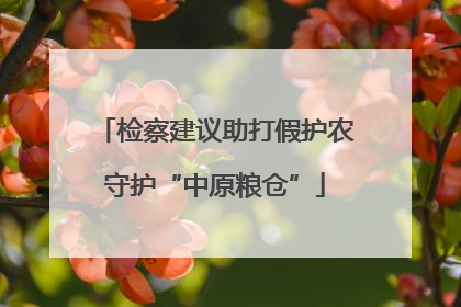 检察建议助打假护农守护“中原粮仓”
