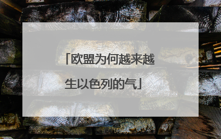 欧盟为何越来越生以色列的气