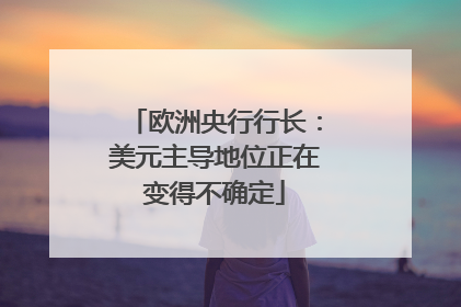 欧洲央行行长：美元主导地位正在变得不确定