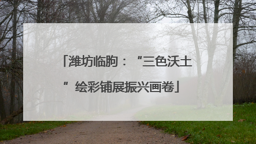潍坊临朐：“三色沃土”绘彩铺展振兴画卷