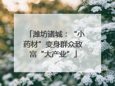潍坊诸城：“小药材”变身群众致富“大产业”