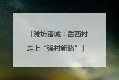 潍坊诸城：岳西村走上“强村新路”