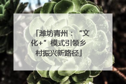 潍坊青州：“文化+”模式引领乡村振兴新路径