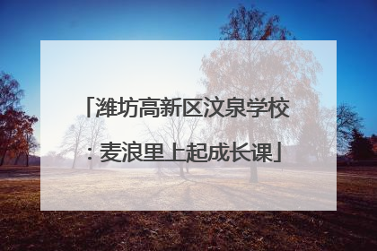 潍坊高新区汶泉学校：麦浪里上起成长课