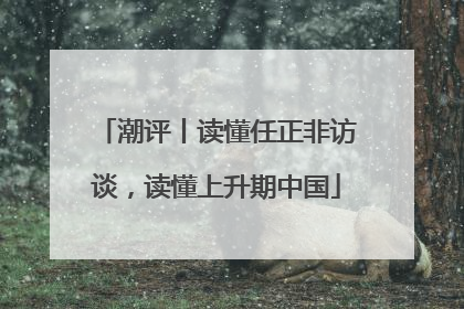 潮评丨读懂任正非访谈，读懂上升期中国