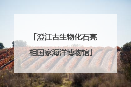 澄江古生物化石亮相国家海洋博物馆
