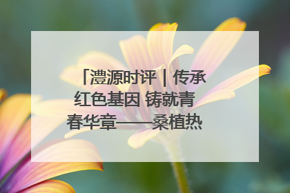 澧源时评｜传承红色基因 铸就青春华章——桑植热土上的青春长征