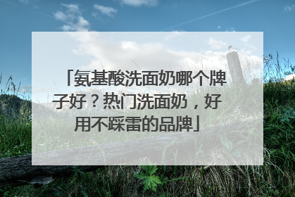 氨基酸洗面奶哪个牌子好？热门洗面奶，好用不踩雷的品牌