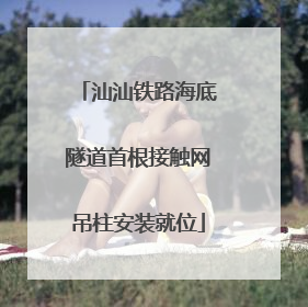 汕汕铁路海底隧道首根接触网吊柱安装就位