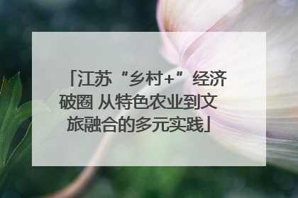 江苏“乡村+”经济破圈 从特色农业到文旅融合的多元实践