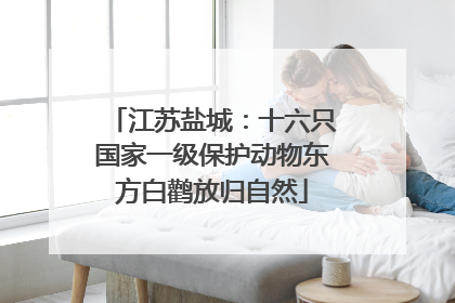 江苏盐城：十六只国家一级保护动物东方白鹳放归自然
