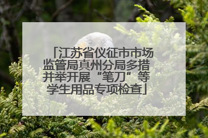 江苏省仪征市市场监管局真州分局多措并举开展“笔刀”等学生用品专项检查