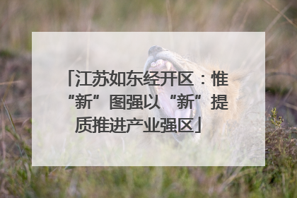 江苏如东经开区：惟“新”图强以“新”提质推进产业强区