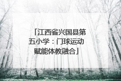 江西省兴国县第五小学：门球运动赋能体教融合