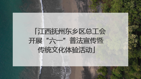 江西抚州东乡区总工会开展“六一”普法宣传暨传统文化体验活动