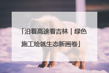 沿着高速看吉林｜绿色施工绘就生态新画卷