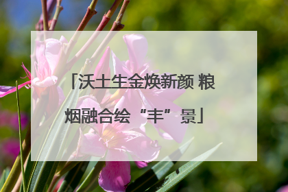 沃土生金焕新颜 粮烟融合绘“丰”景