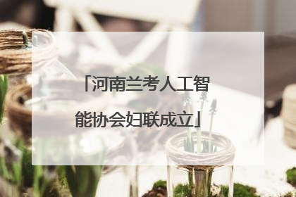 河南兰考人工智能协会妇联成立