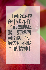 河南足球在中超咋样？前国脚赵鹏：要找回河南队“专治各种不服”的精神