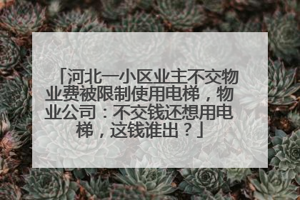河北一小区业主不交物业费被限制使用电梯，物业公司：不交钱还想用电梯，这钱谁出？