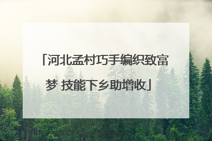 河北孟村巧手编织致富梦 技能下乡助增收