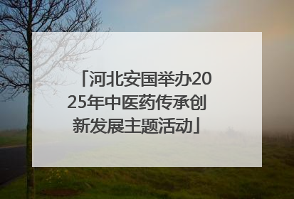 河北安国举办2025年中医药传承创新发展主题活动