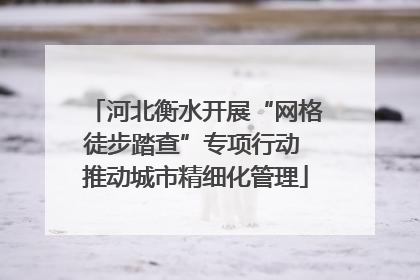 河北衡水开展“网格徒步踏查”专项行动 推动城市精细化管理