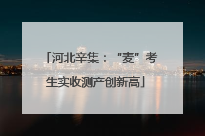 河北辛集：“麦”考生实收测产创新高
