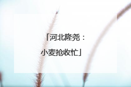 河北隆尧：小麦抢收忙