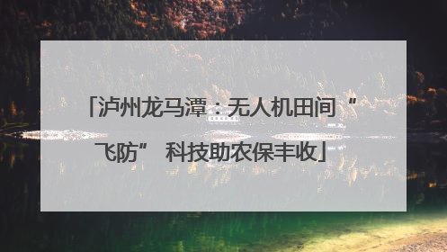 泸州龙马潭：无人机田间“飞防” 科技助农保丰收