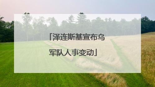 泽连斯基宣布乌军队人事变动